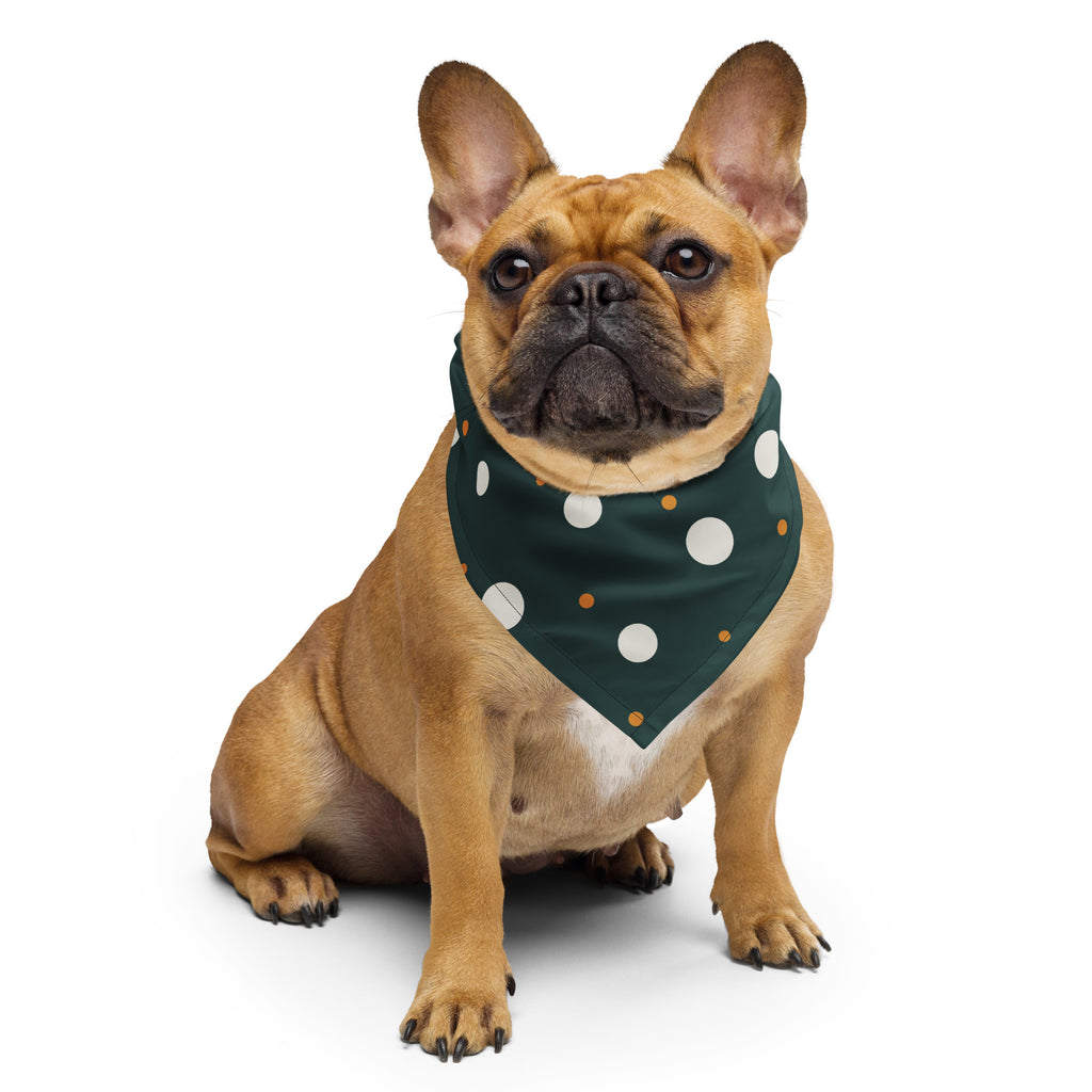 Prikker Bandana på fransk bulldog