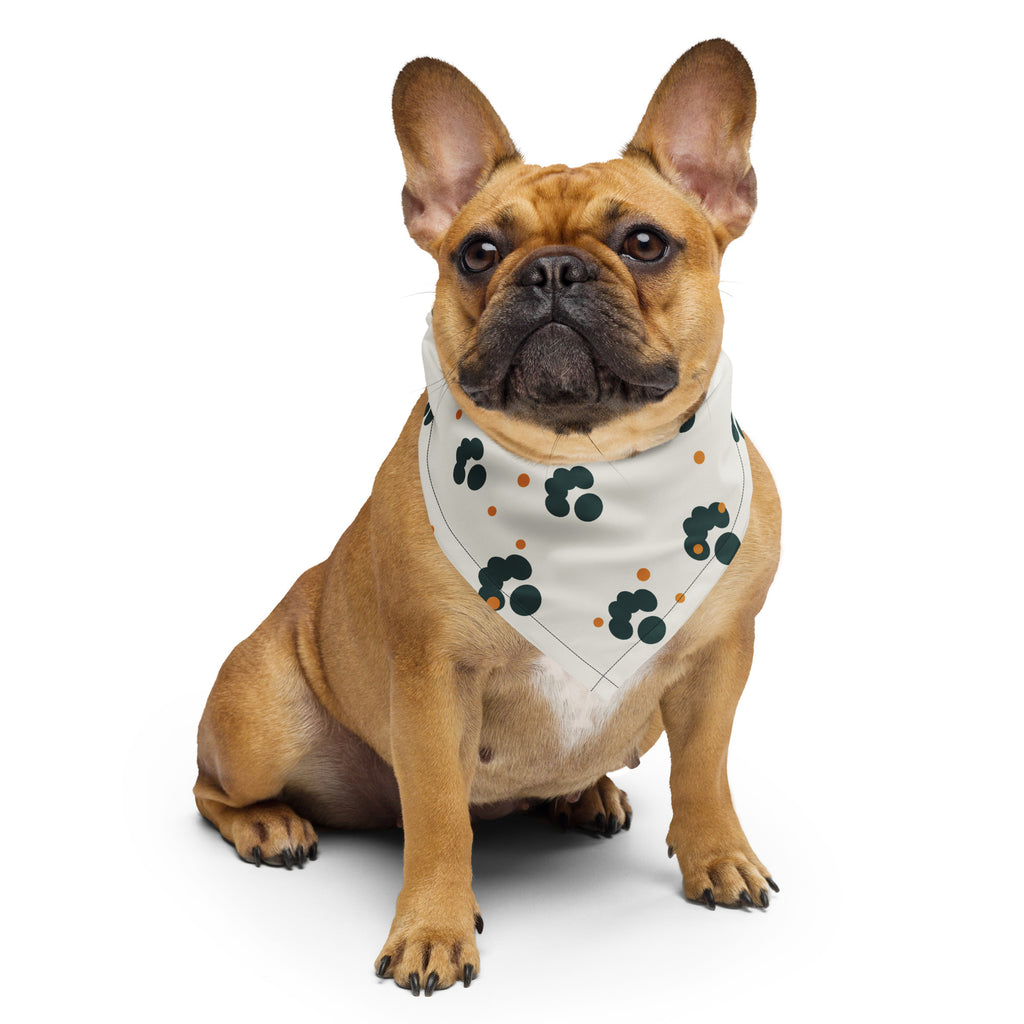 Poter Bandana på fransk bulldog