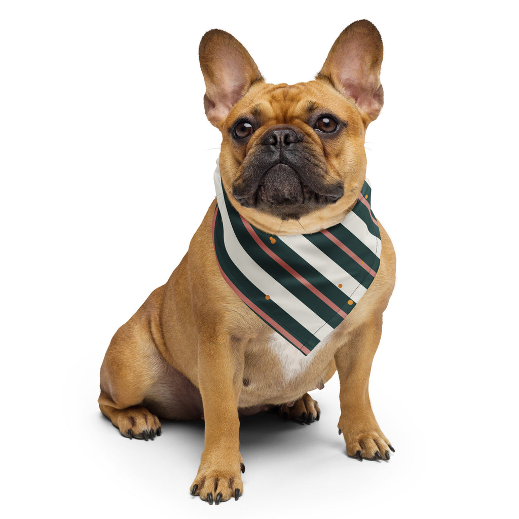 Striber Bandana på fransk bulldog