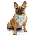 Fisk Bandana på fransk bulldog