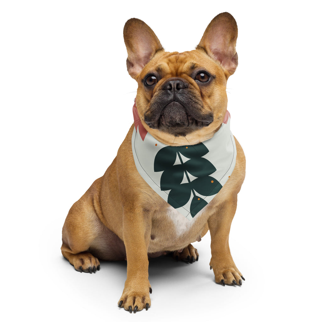 Blade Bandana på fransk bulldog
