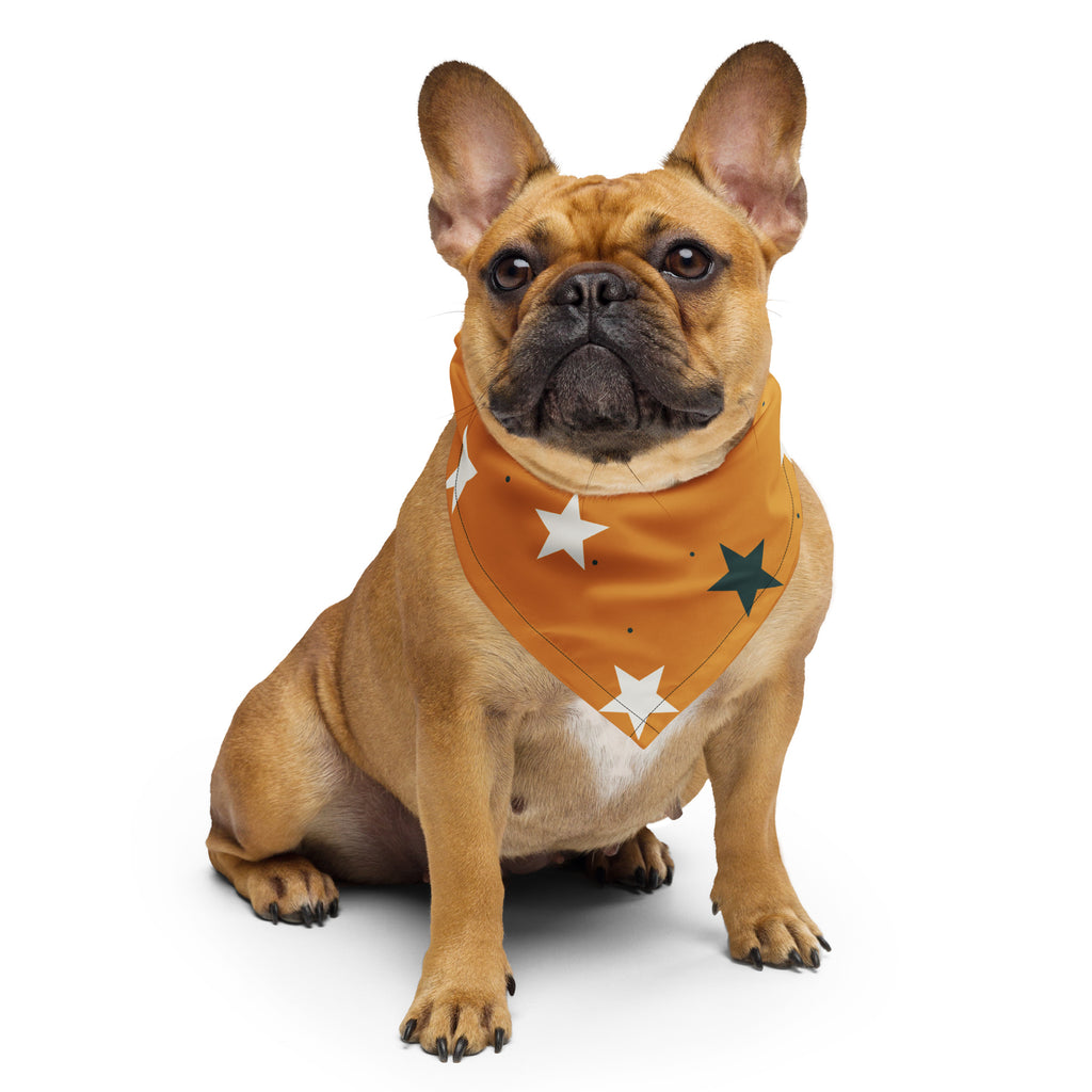 Stjerner Bandana på fransk bulldog