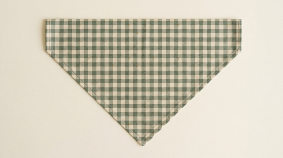 Bandana Gingham Havre