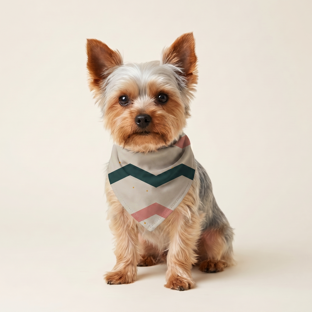 Fiskeben Bandana på hund