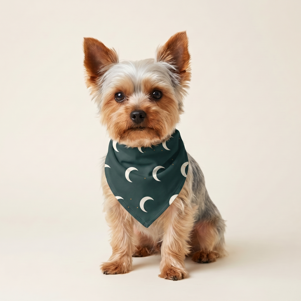 Måne Bandana på hund