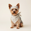 Ruder Bandana på hund