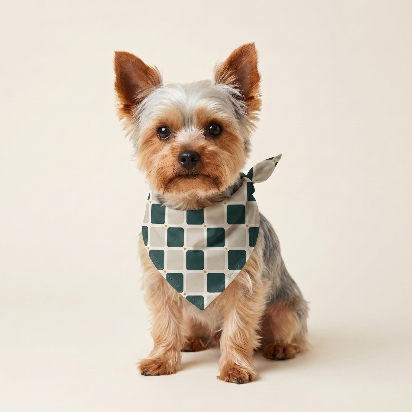 Ternet Bandana på hund