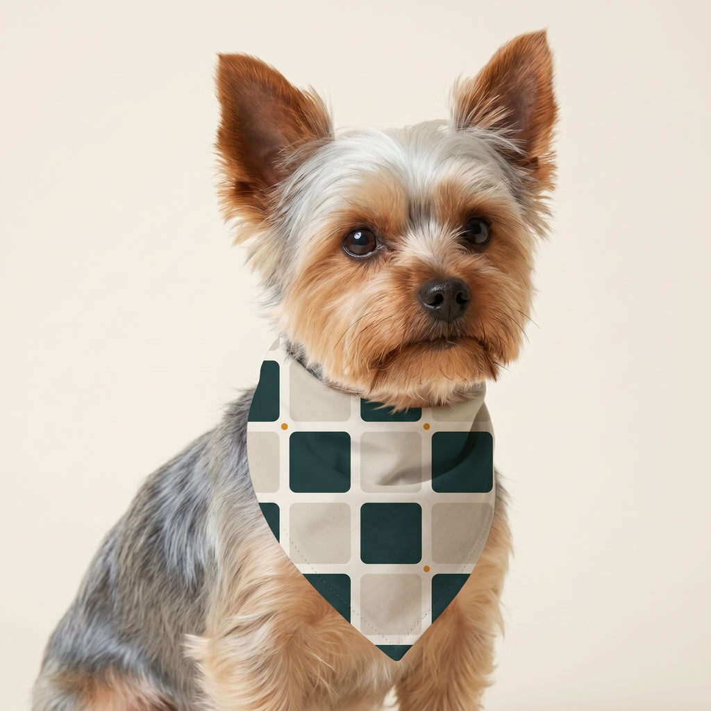 Ternet bandana på Fluffy