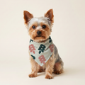 Blade Bandana på hund