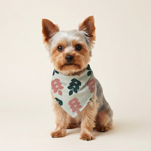 Blade Bandana på hund