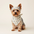 Fisk Bandana på hund