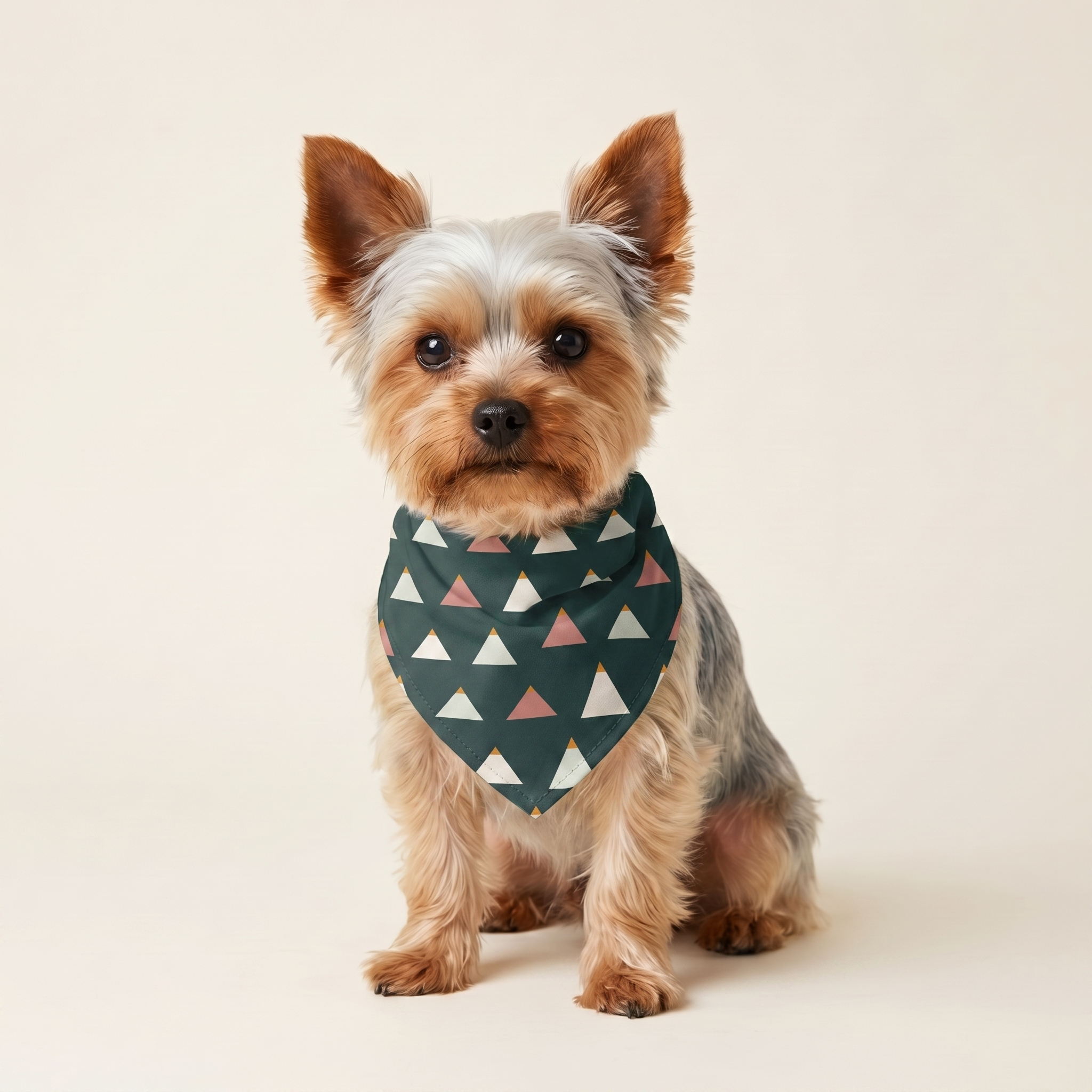 Fjeld Bandana på hund