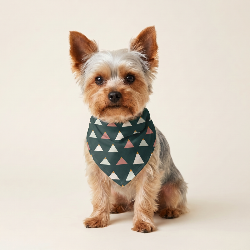 Fjeld Bandana på hund