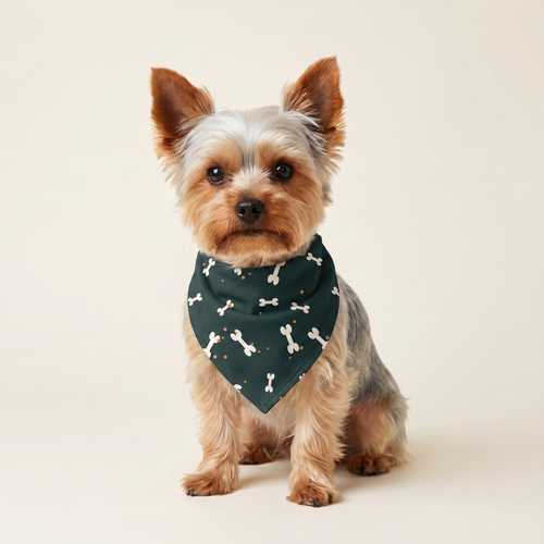 Knogler Bandana på hund