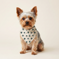 Poter Bandana på hund