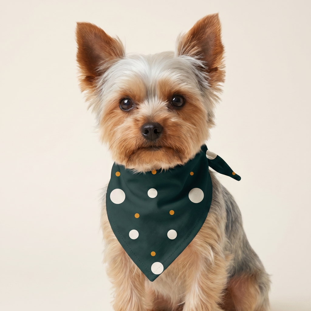 Prikker Bandana på hund
